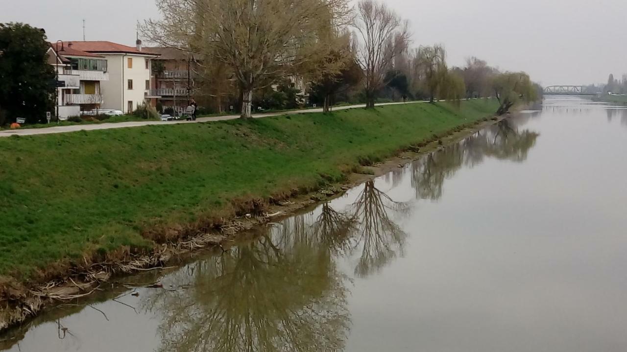 Vicino Al Prato Della Valle Intero Appartamento Parcheggio Facile Di Fronte 帕多瓦 外观 照片